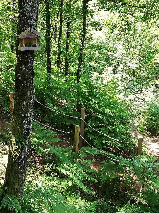 Ma Cabane En Aveyron Conques-en-Rouergue Экстерьер фото